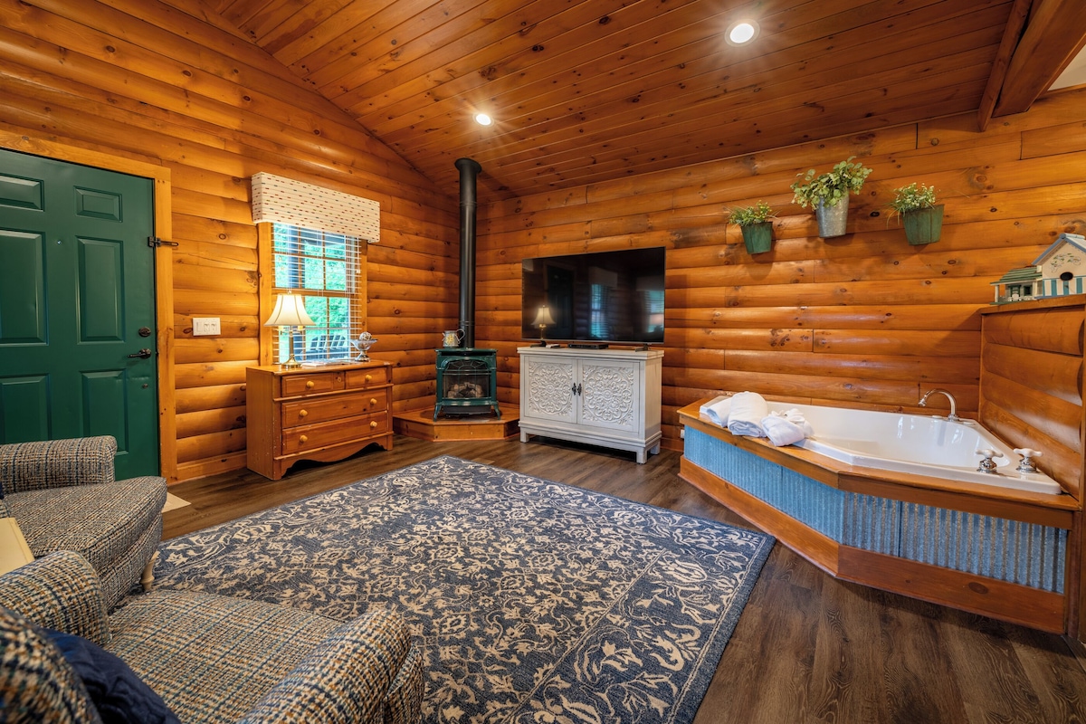 55-inch TV with satellite channels, fireplace