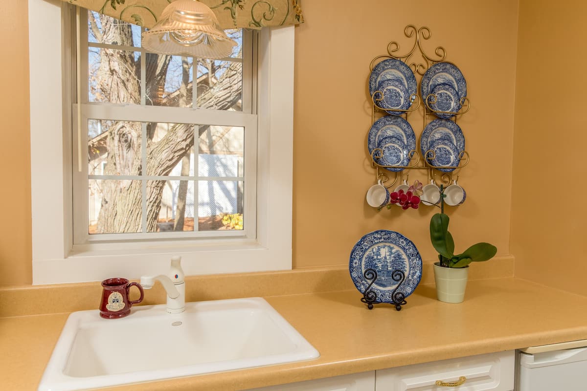 A kitchen with a white sink, a window with a view of trees, and a wall-mounted plate rack with blue plates.