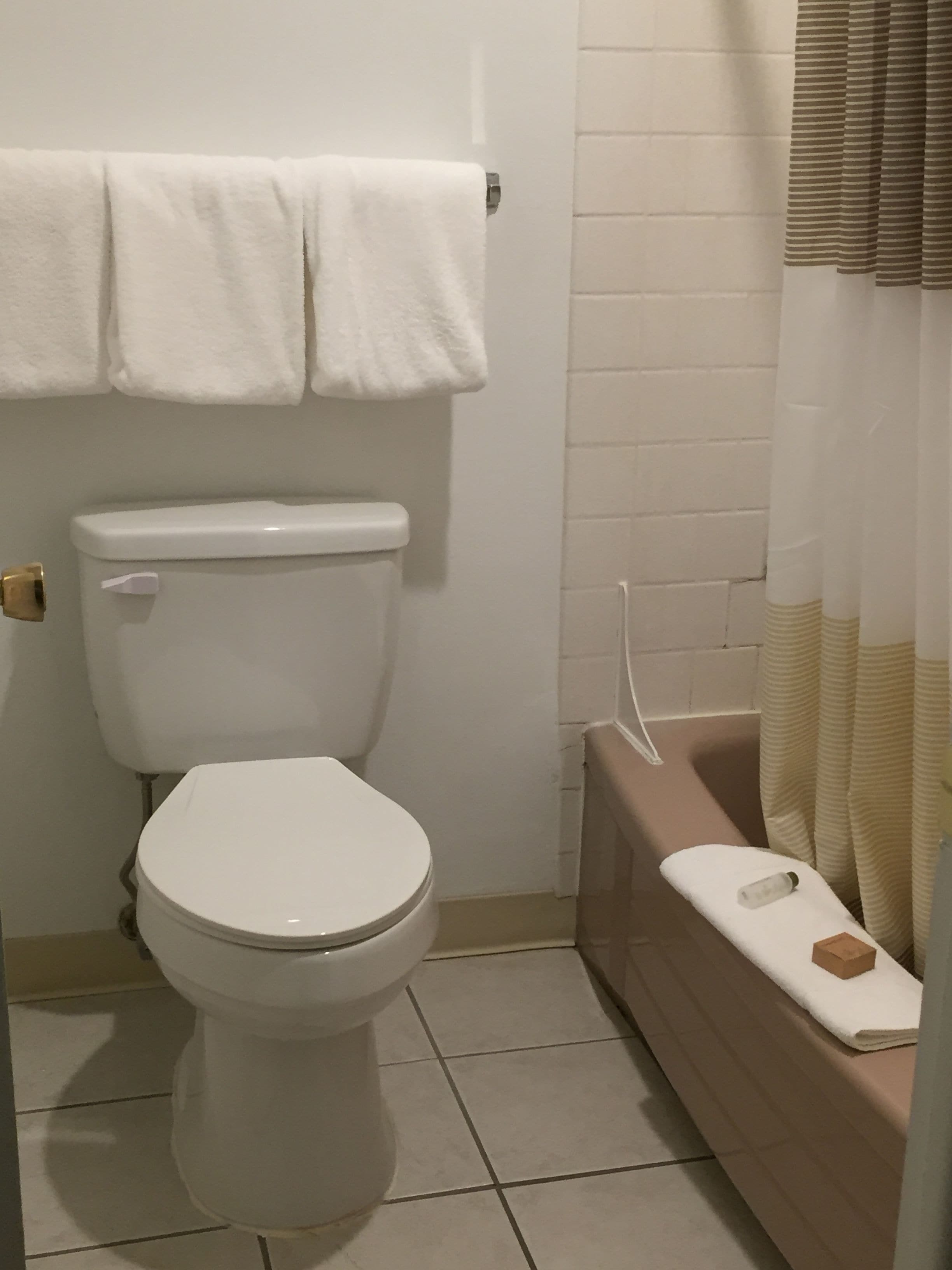 Une salle de bain équipée de toilettes, d’une baignoire et d’un porte-serviettes.