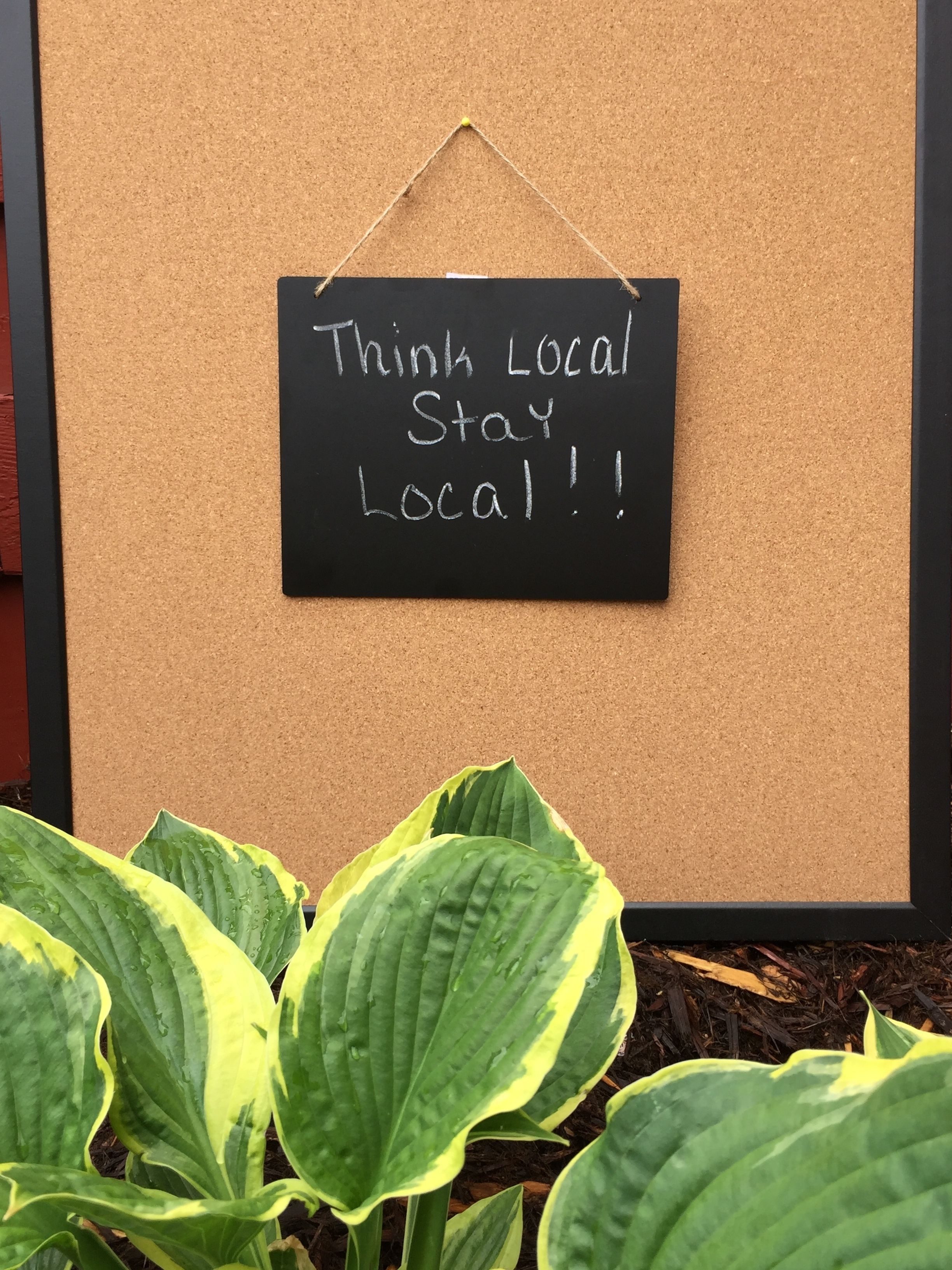 A blackboard with the message "Think Local Stay Local!" mounted on a corkboard wall.