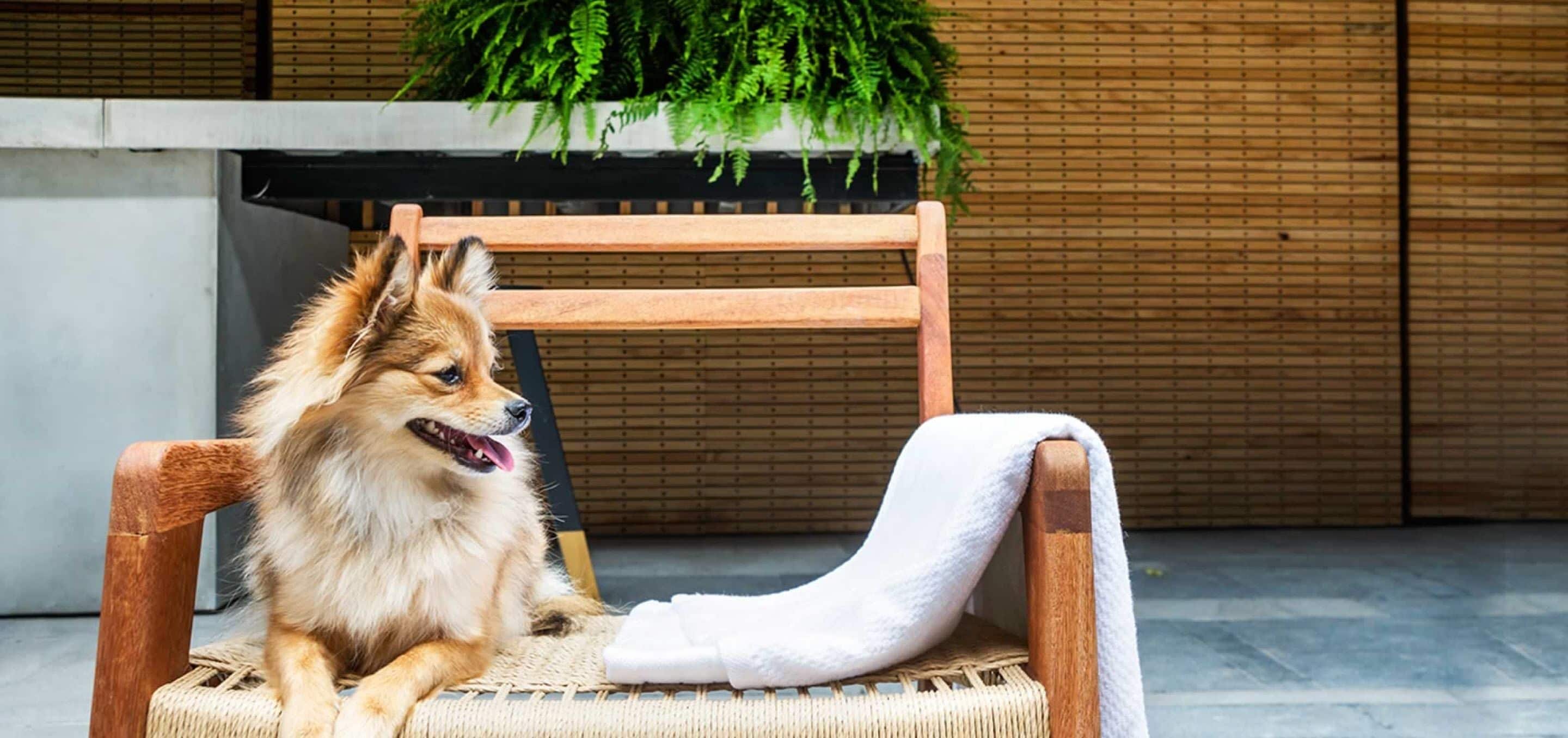 Foto - Hotel Carlota