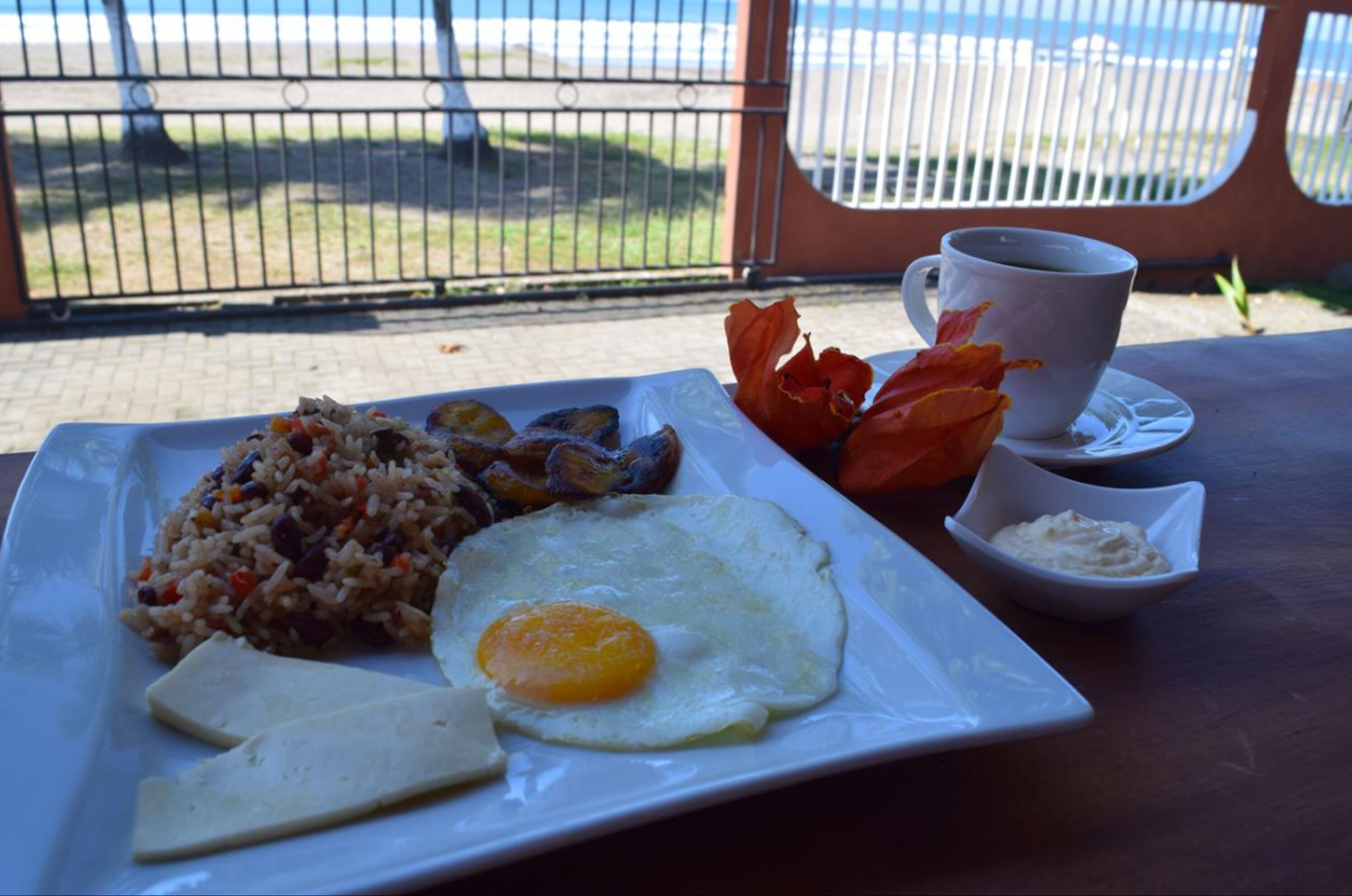 free daily full breakfast