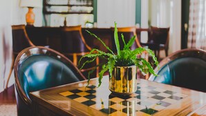 A dining table with a chessboard, a potted plant, and leather chairs in a room with a bookshelf and a lamp in the background. - Brandon Hall Plantation (Natchez)