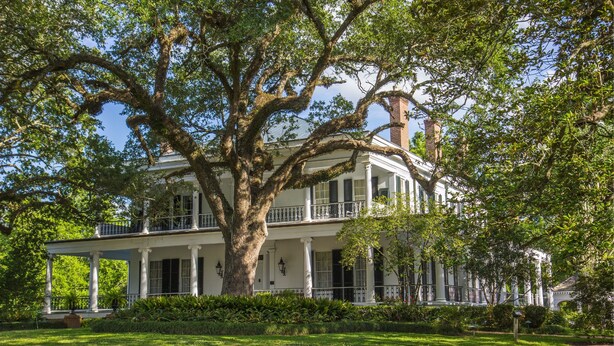 A large, two-story house with a prominent tree in front, white exterior, and a covered porch. - Brandon Hall Plantation (Natchez)