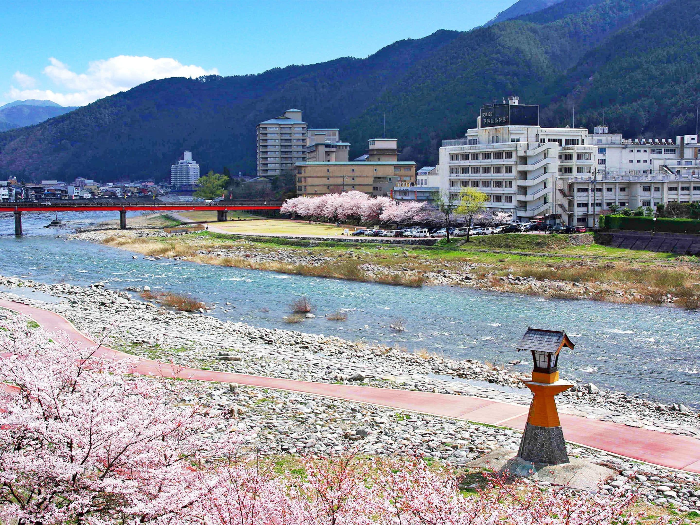 A riverside view with a bridge, cherry blossoms, and buildings in the background.