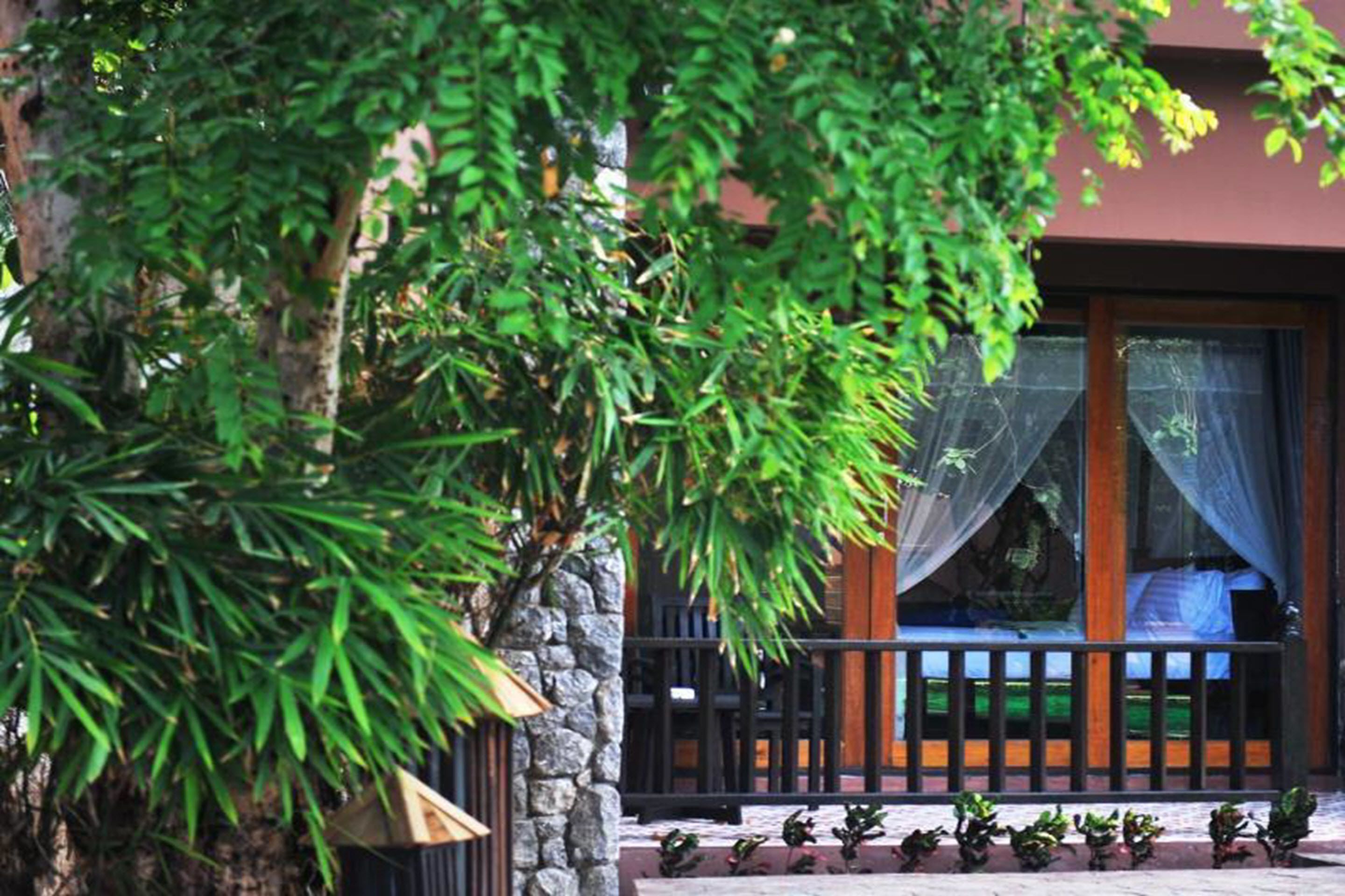 Foto - Koh Tao Beach Club