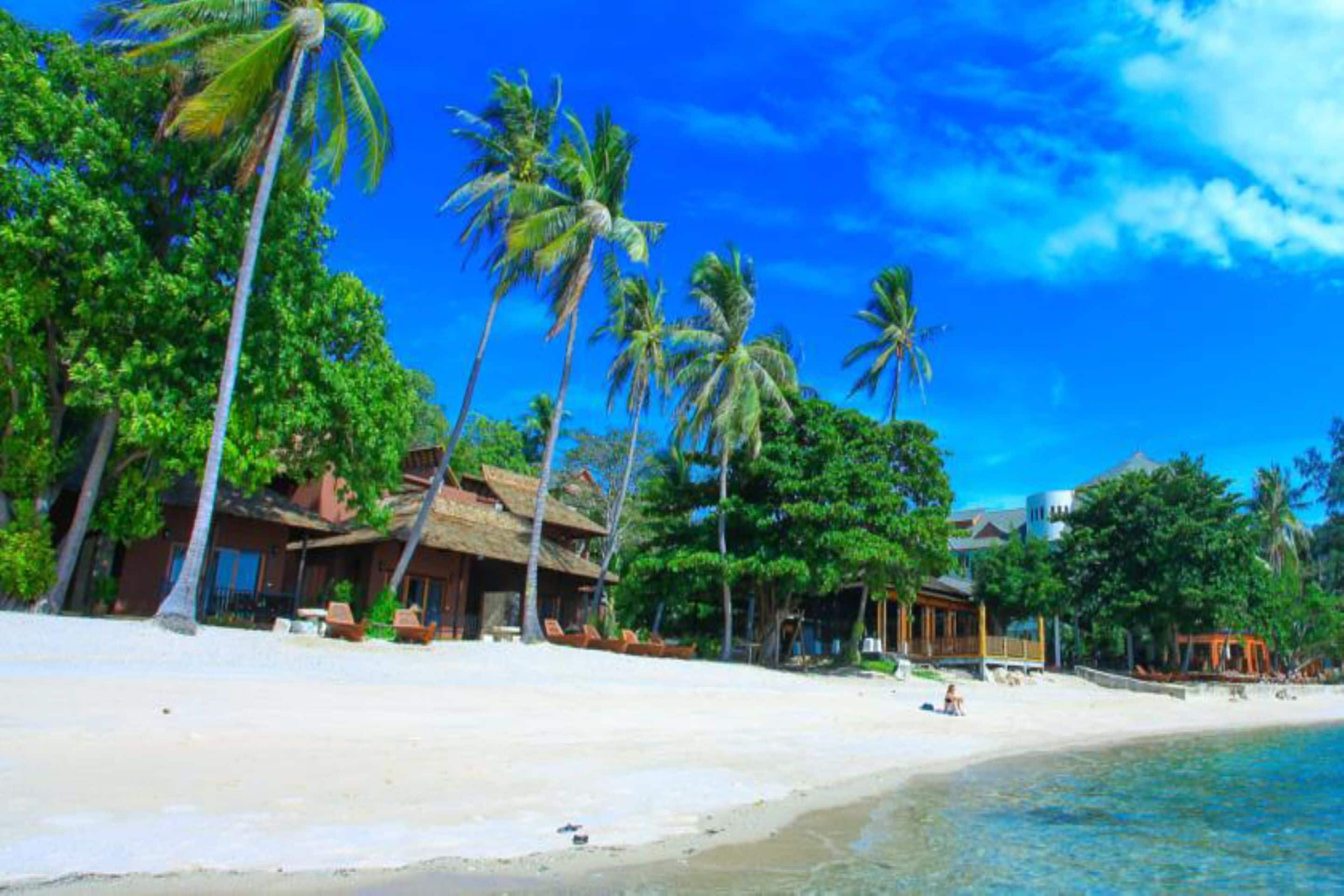 A beach with palm trees, a sandy shore, and a building with a thatched roof.