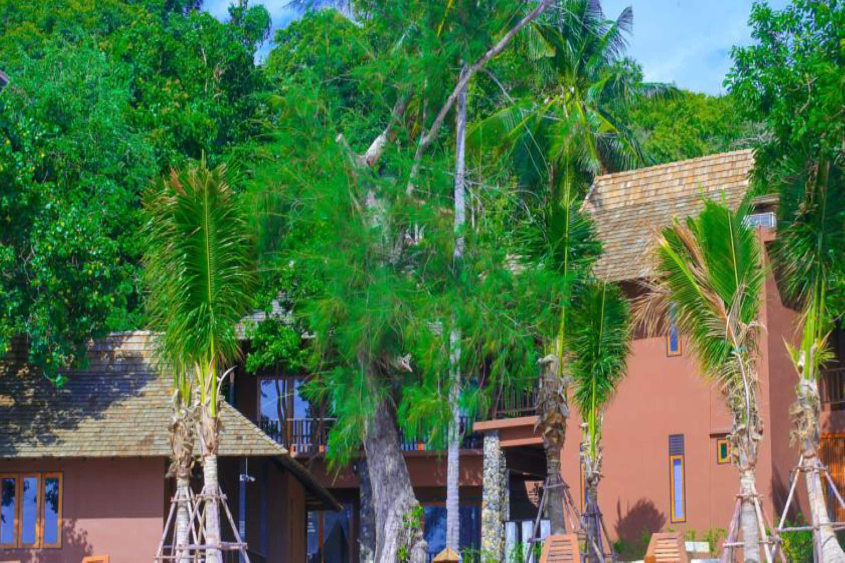 A resort with multiple buildings surrounded by lush greenery and palm trees.