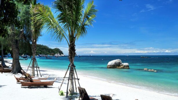 A beach with white sand, palm trees, and boats. - Koh Tao Beach Club (Koh Tao)