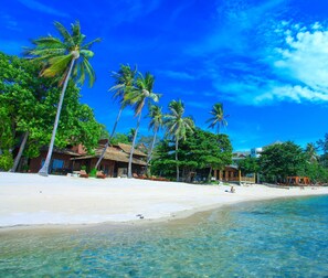 A beach with clear water, palm trees, and a building with a thatched roof. - Koh Tao Beach Club (Koh Tao)