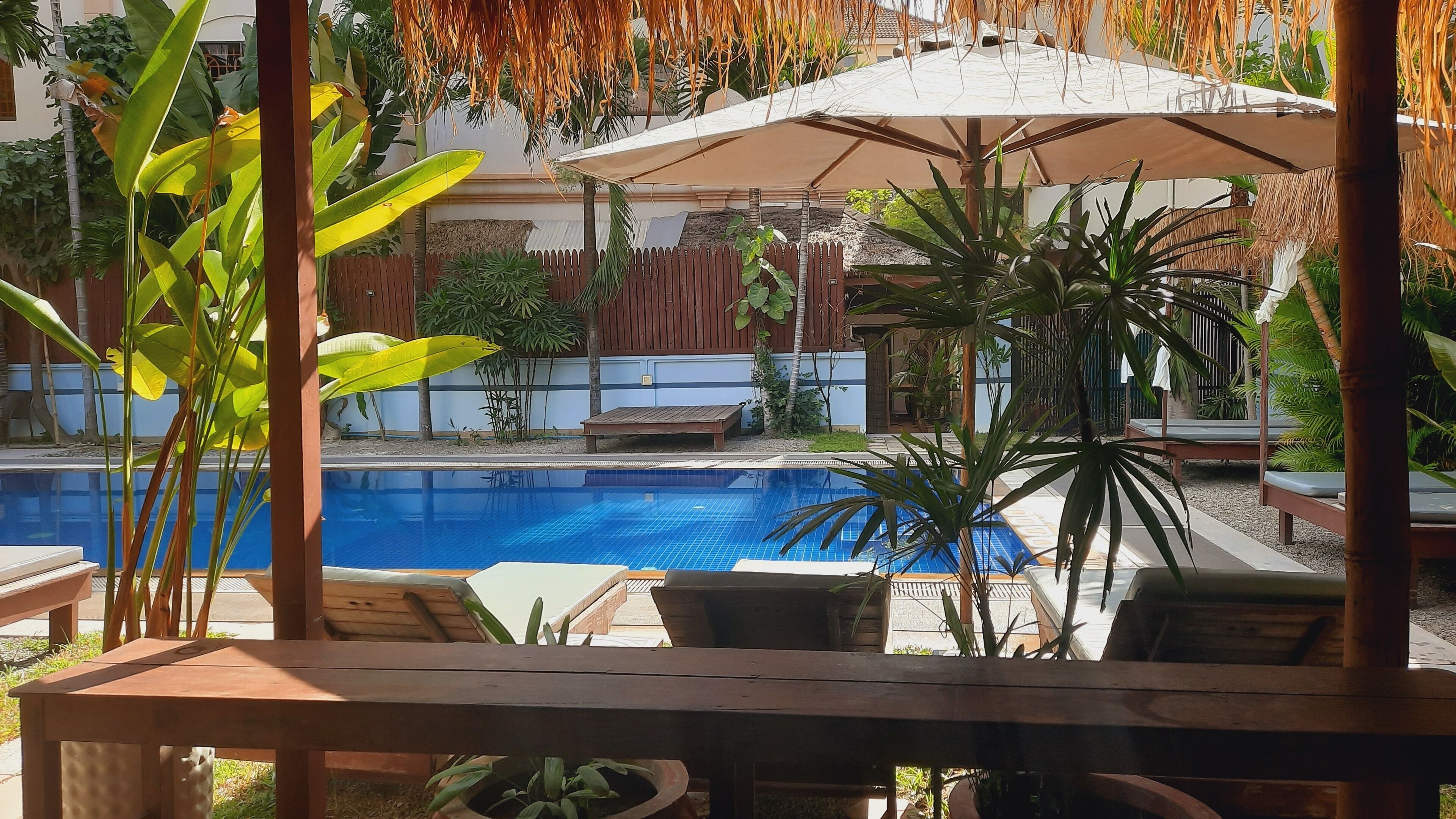 outdoor pool, pool loungers