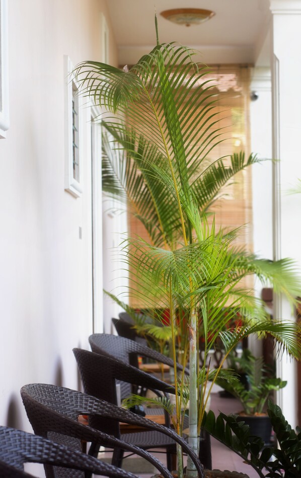 A hallway with wicker chairs and a tall potted plant. - PAKHONGTHONG VILLA (Luang Prabang)