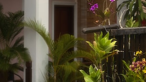A two-story building with a balcony, potted plants, and a door.