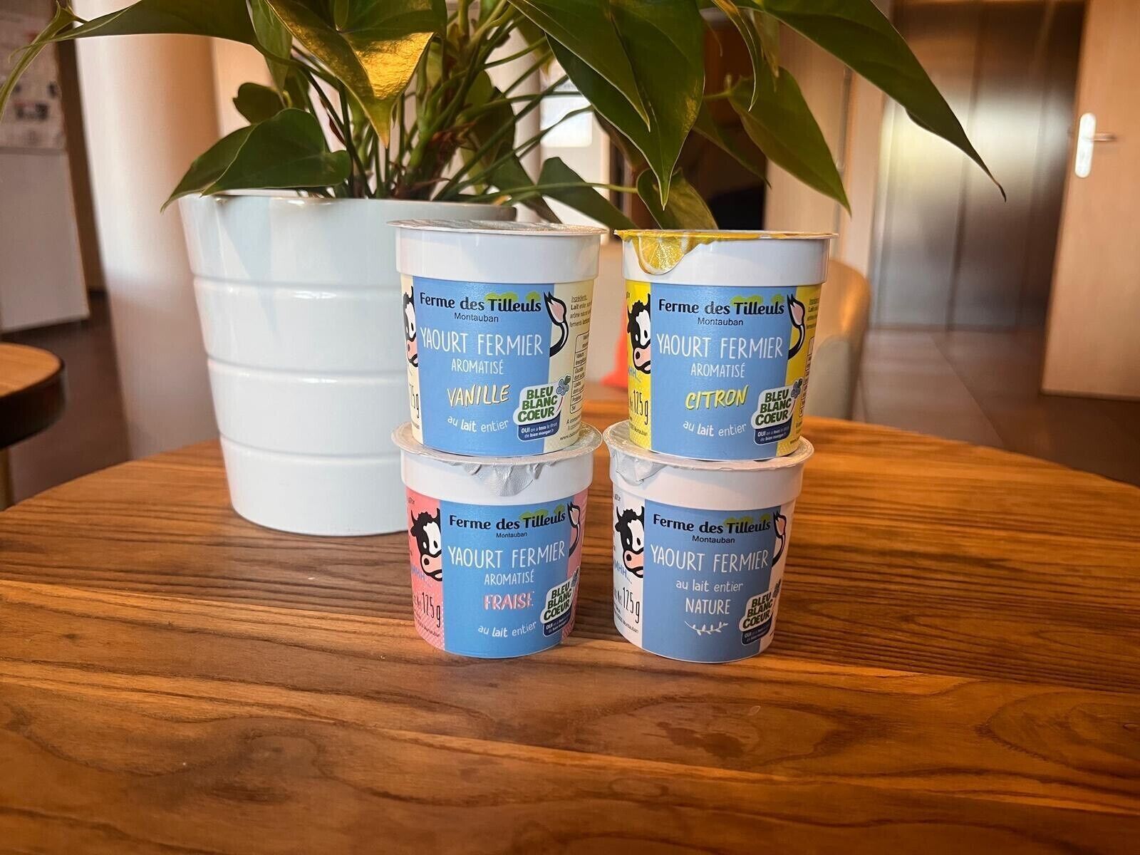 Three containers of 'Fermes des Tilleuls' yogurt on a wooden table with a potted plant in the background.