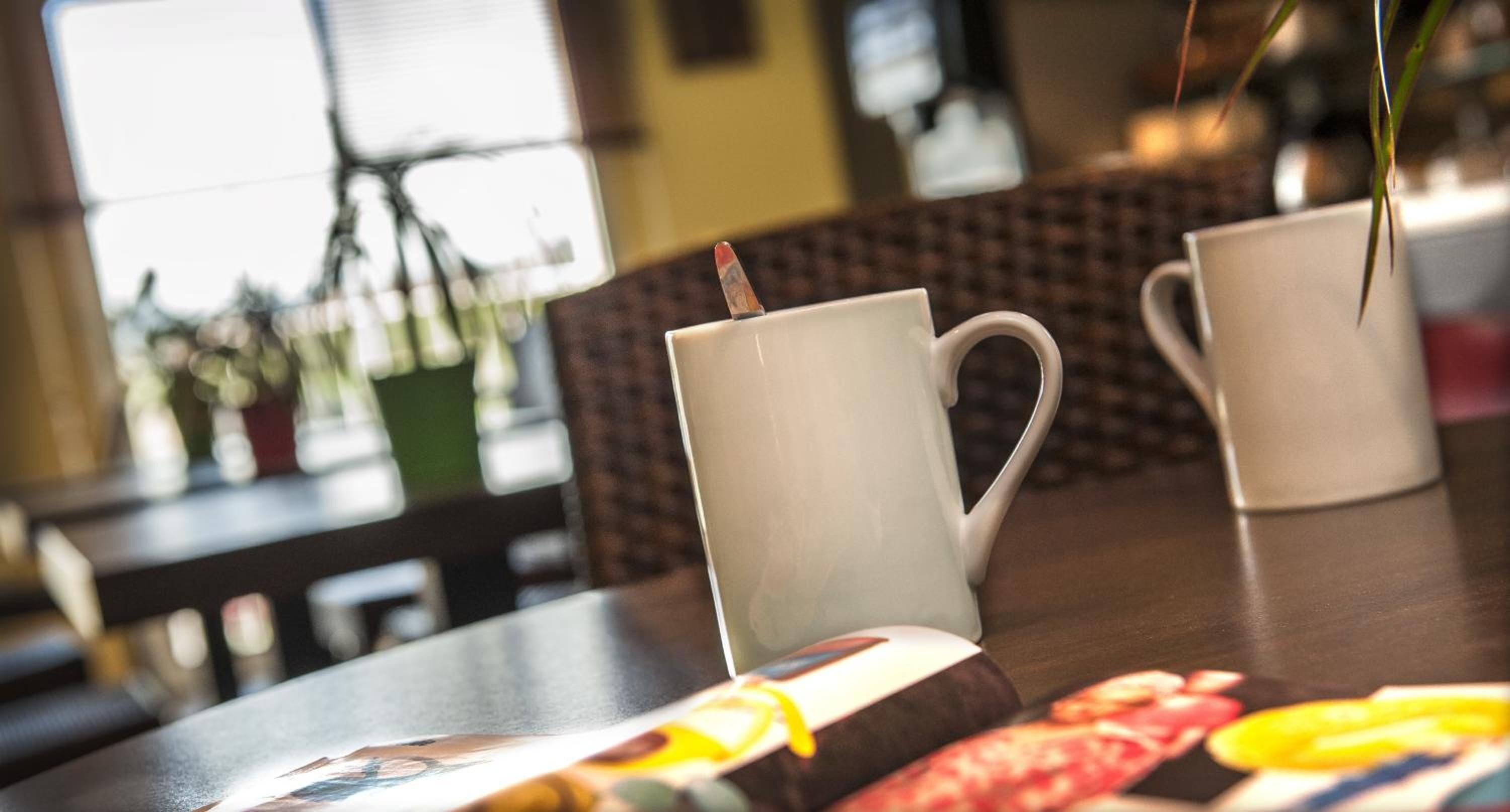 A dining table with two white ceramic mugs, a menu, and a plant in the background.