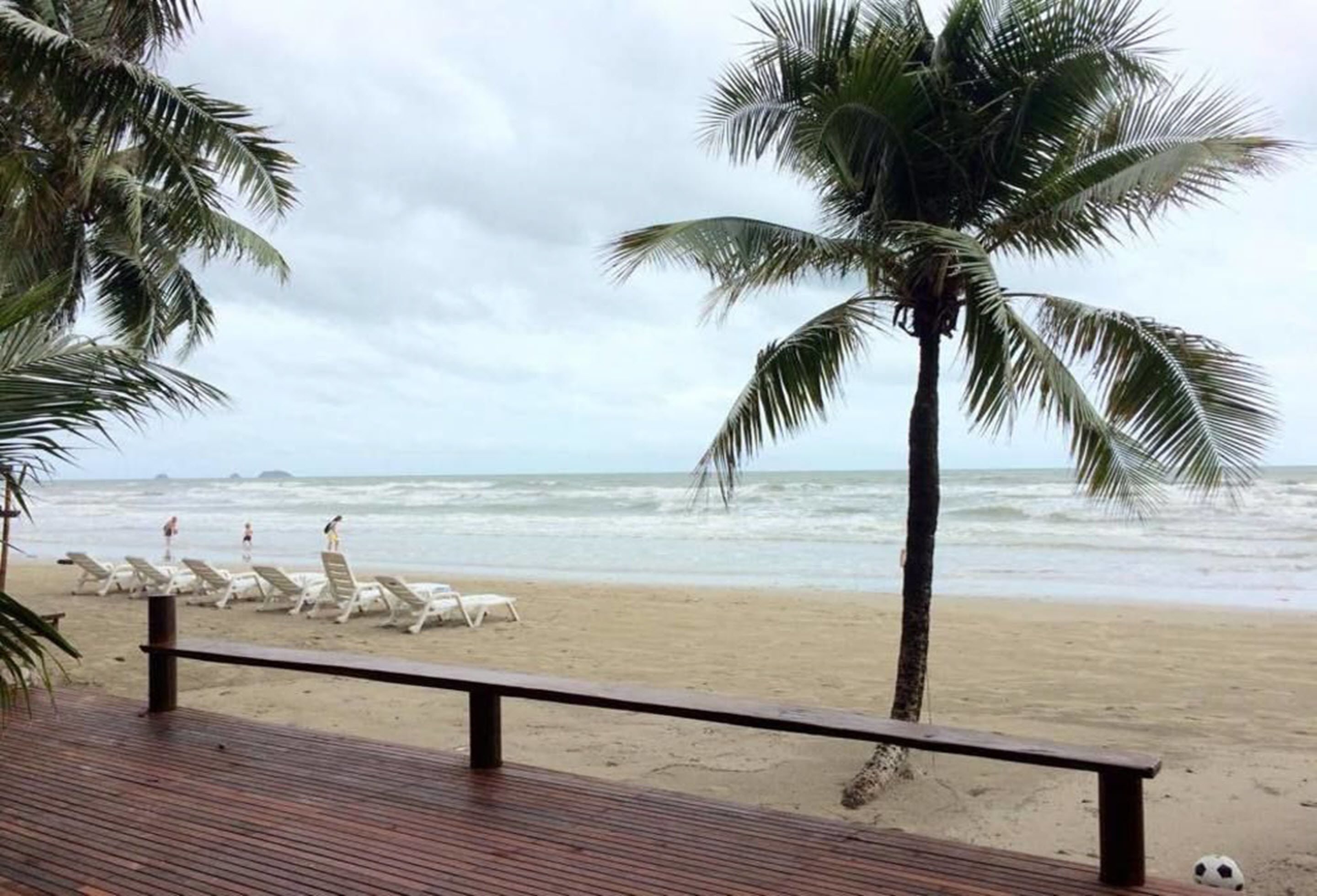 Una playa con palmeras, una terraza de madera y sillones blancos.