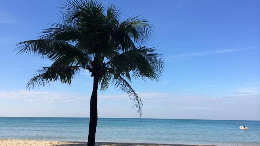 アップル ビーチフロント リゾート