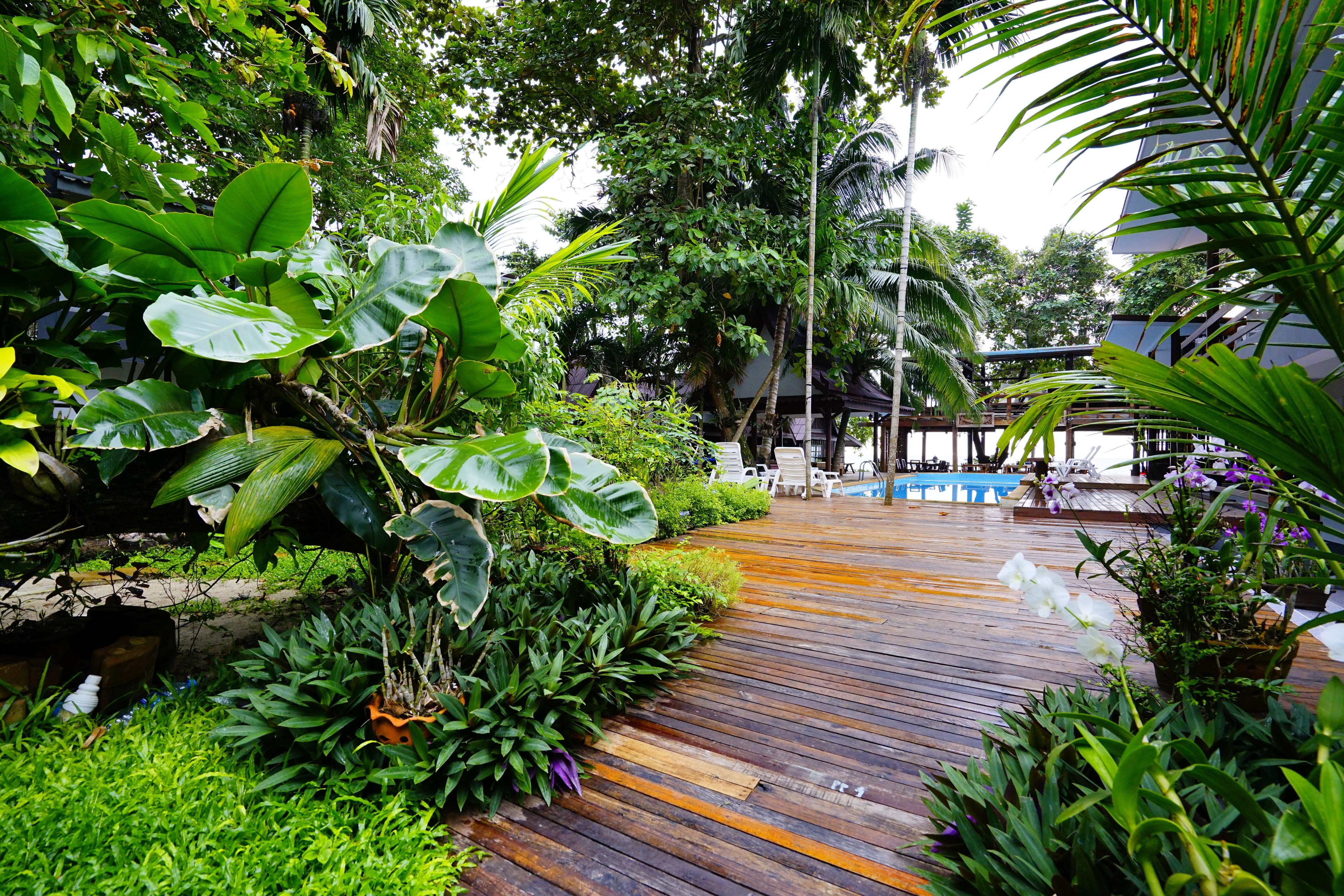 Una terraza de madera rodeada de exuberante vegetación y un área de piscina con sillas de descanso.