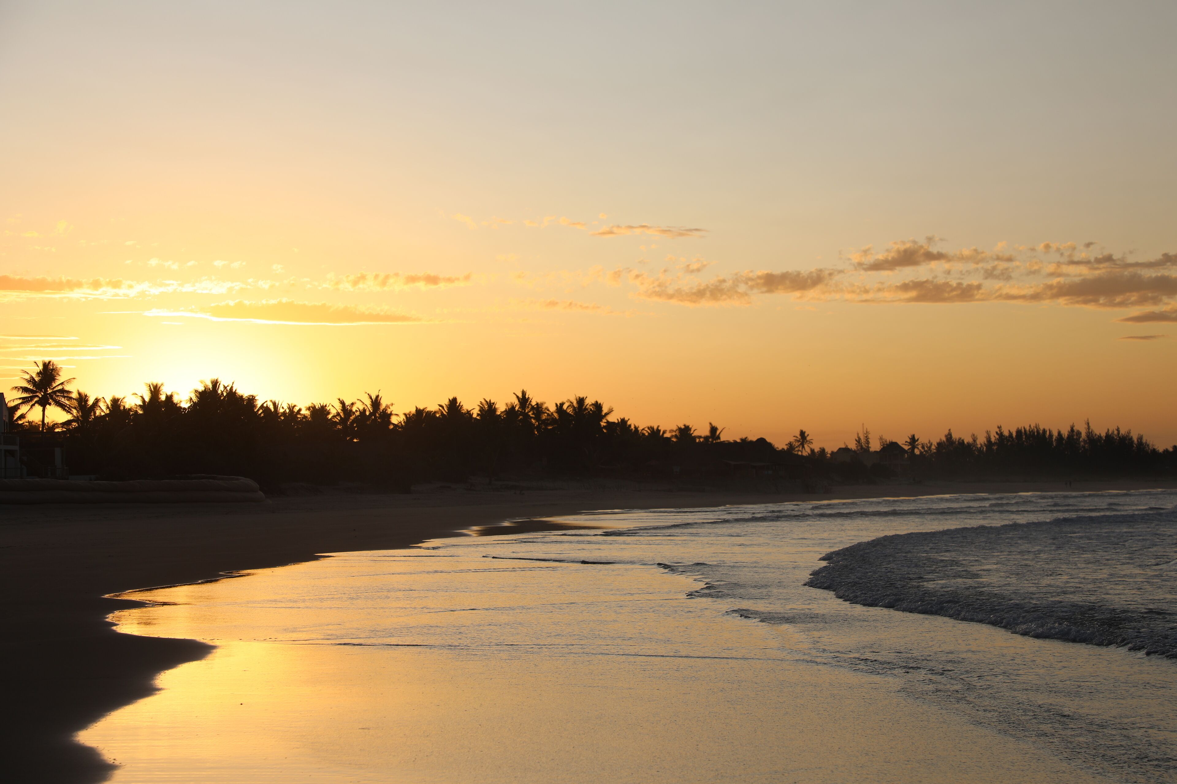 Una playa al atardecer con palmeras y un mar tranquilo.