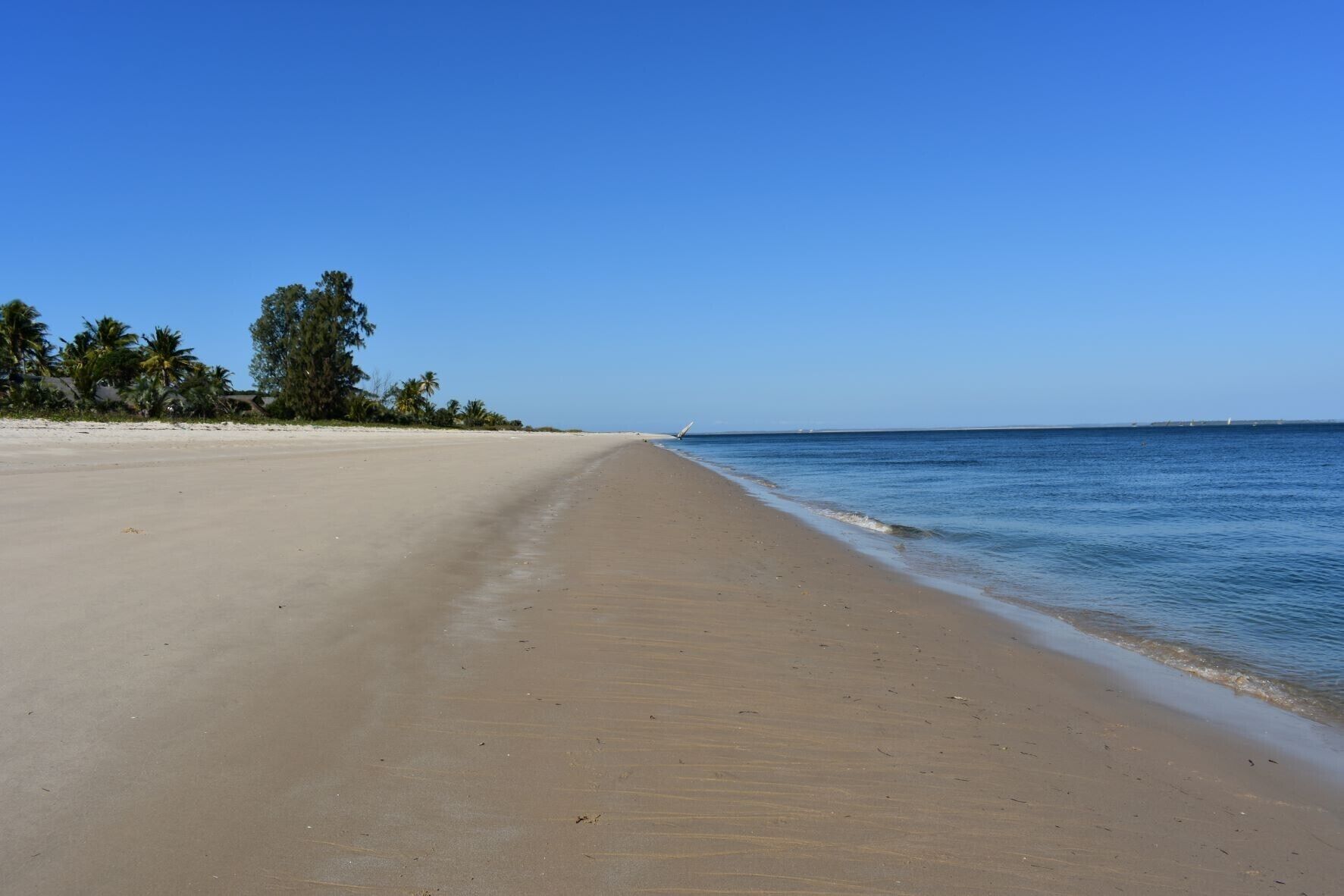 A wide, sandy beach with gentle waves, palm trees, and a clear blue sky.