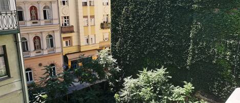A multi-story building with balconies and a dense green tree in the foreground.