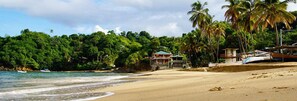 On the beach - The Naturalist Beach Resort (Castara)