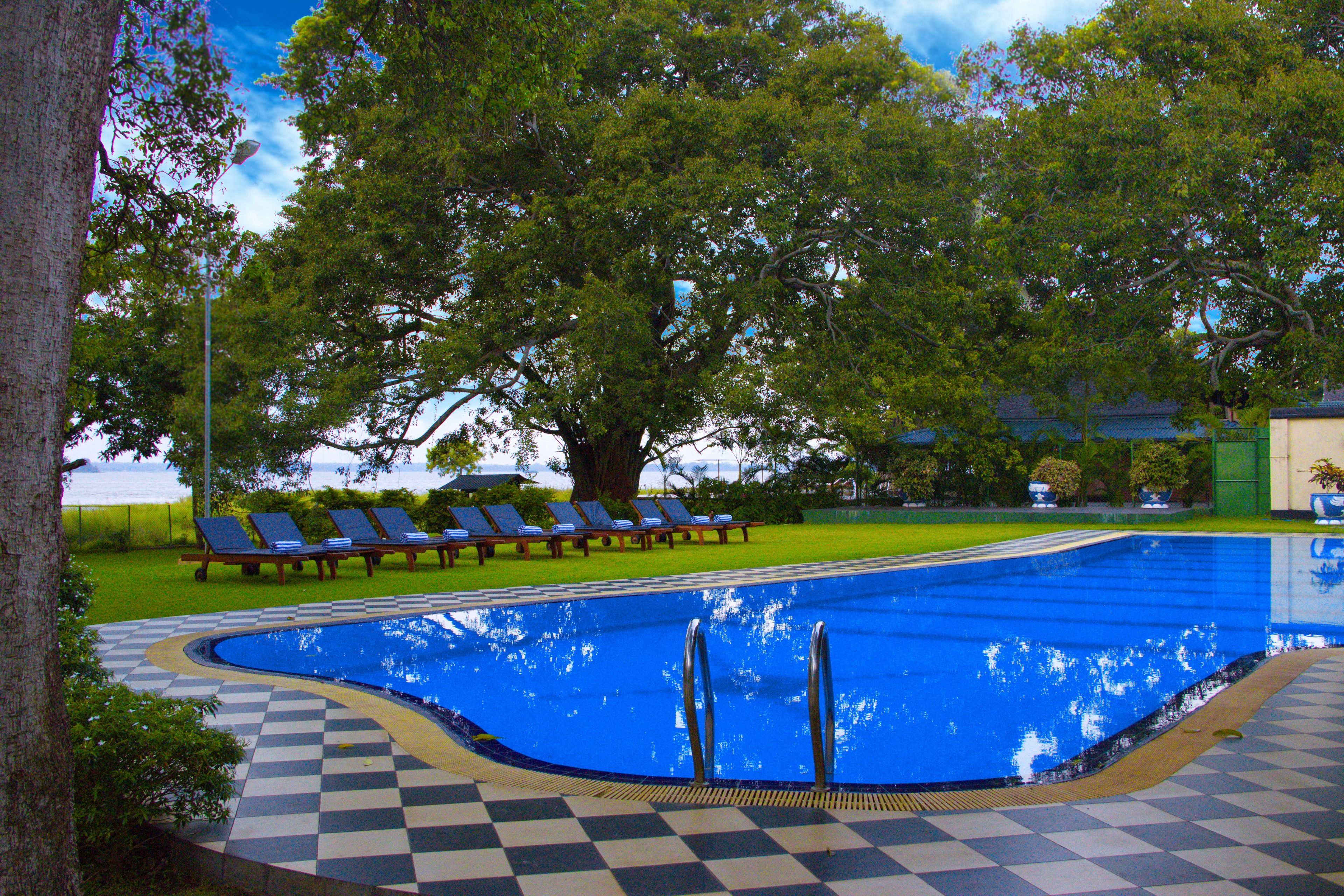 Una piscina con borde de baldosas a cuadros, rodeada de árboles y sillones de descanso.