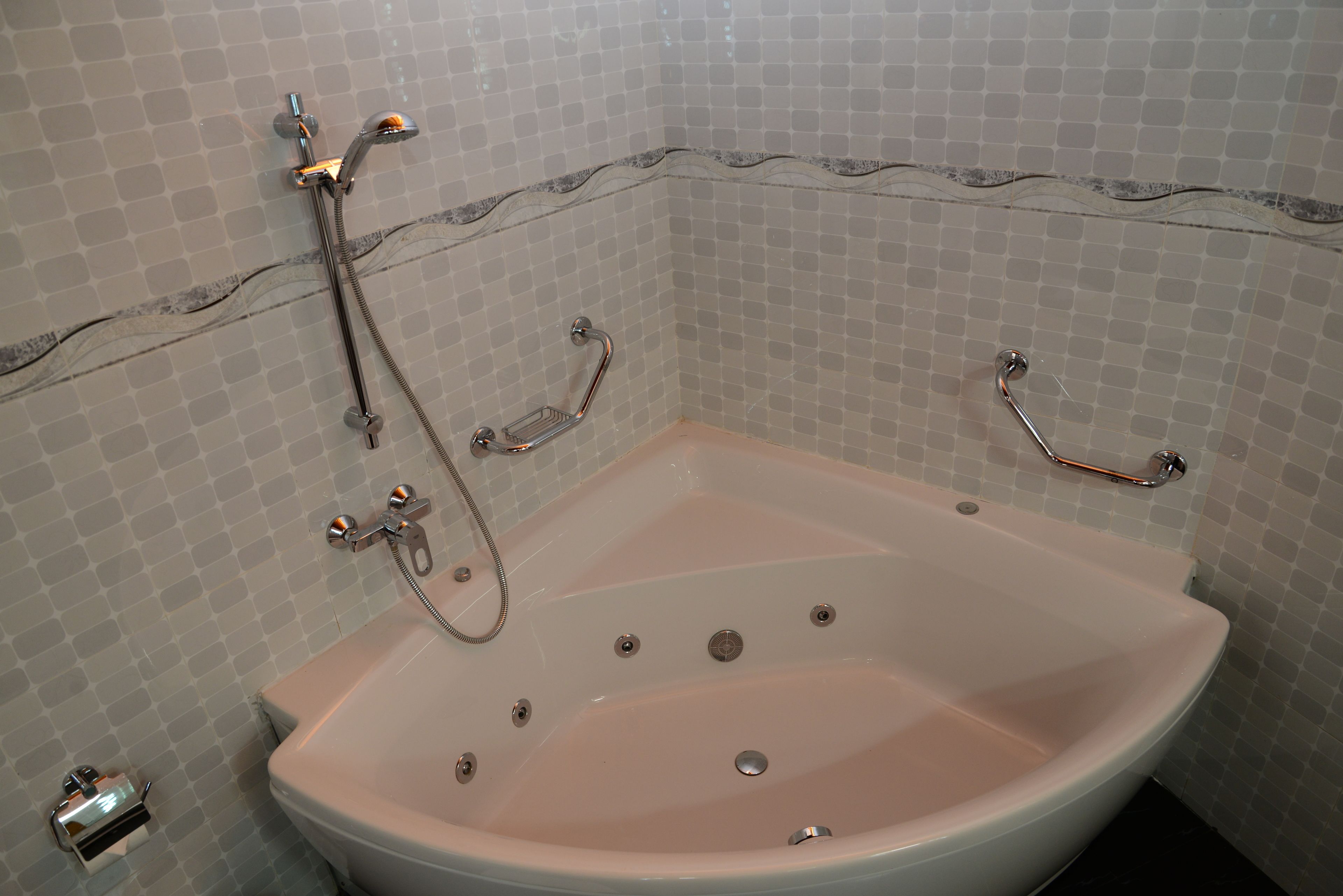 Une salle de bain avec une baignoire sur pieds, une douchette et un robinet mural.