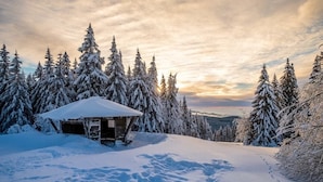 A snow-covered landscape with a wooden cabin and snow-laden trees.