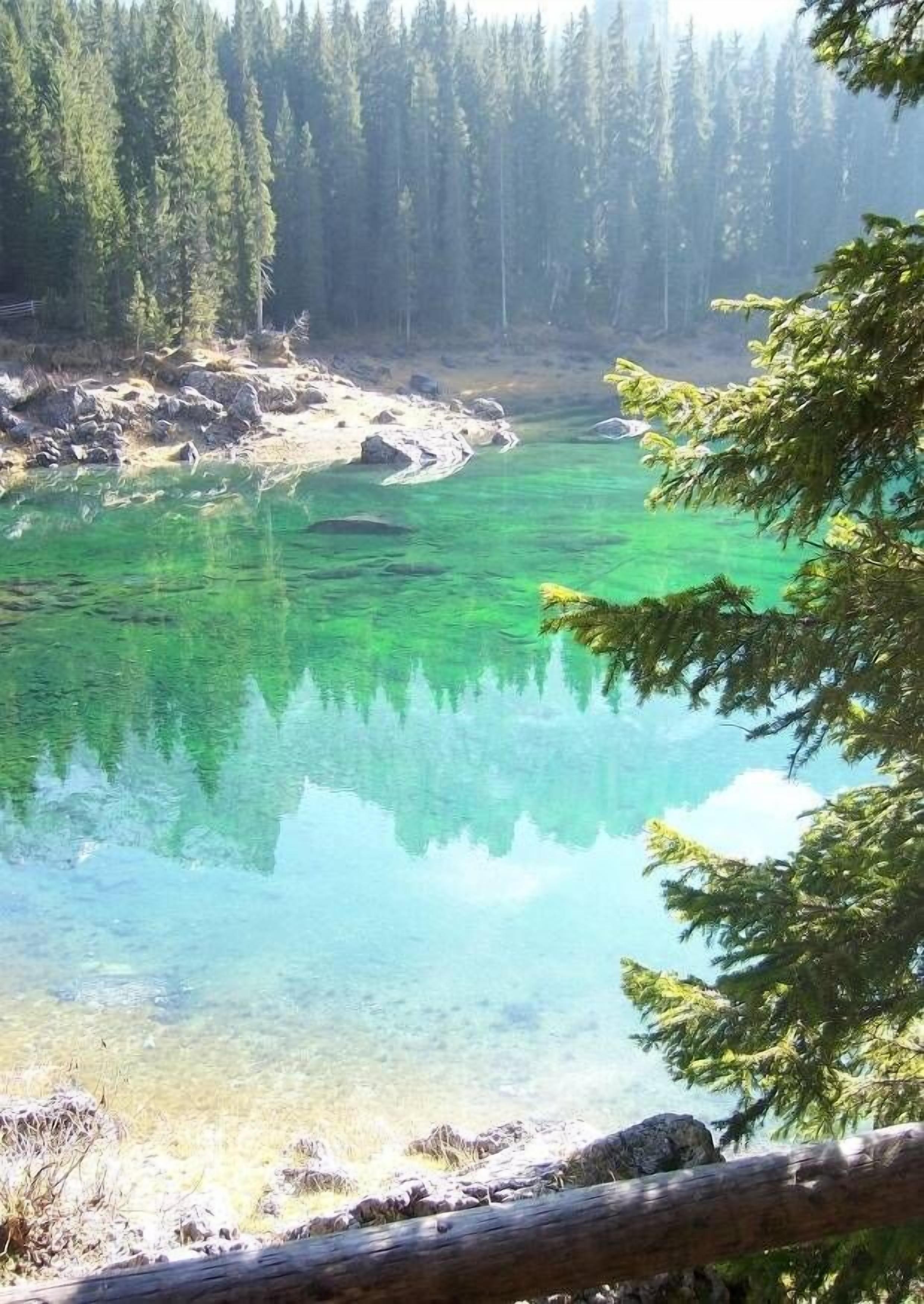 A clear view of a forested area with a calm river reflecting the trees.