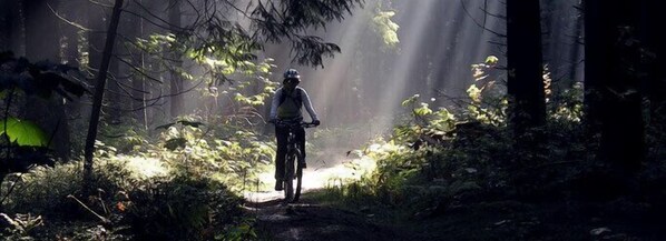 A person standing on a forest trail with sunlight filtering through the trees.
