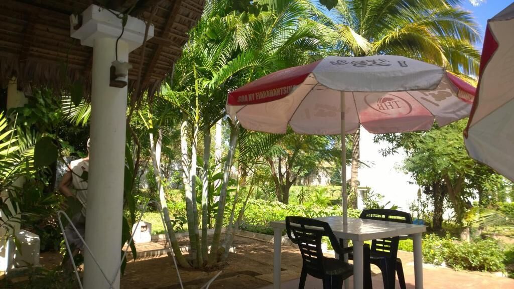 Un'area patio esterna con tavolo e sedie sotto un ampio ombrellone, circondata da vegetazione lussureggiante e palme.