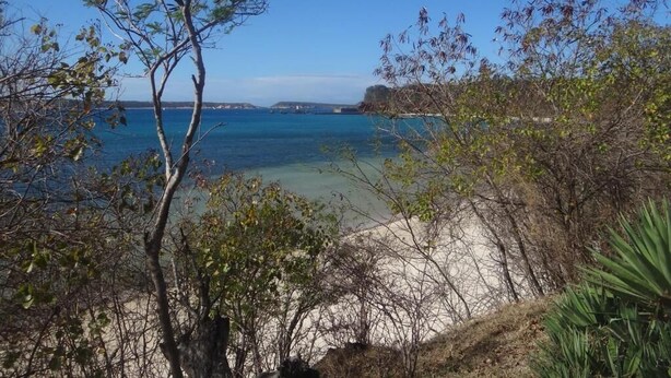 Una playa con agua azul cristalina, orilla de arena y vegetación escasa.