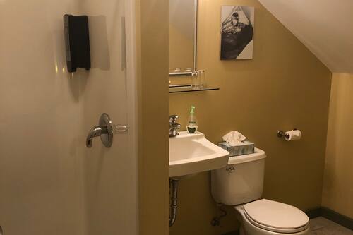 Habitación doble | Baño | Ducha, artículos de higiene personal gratuitos y secador de pelo