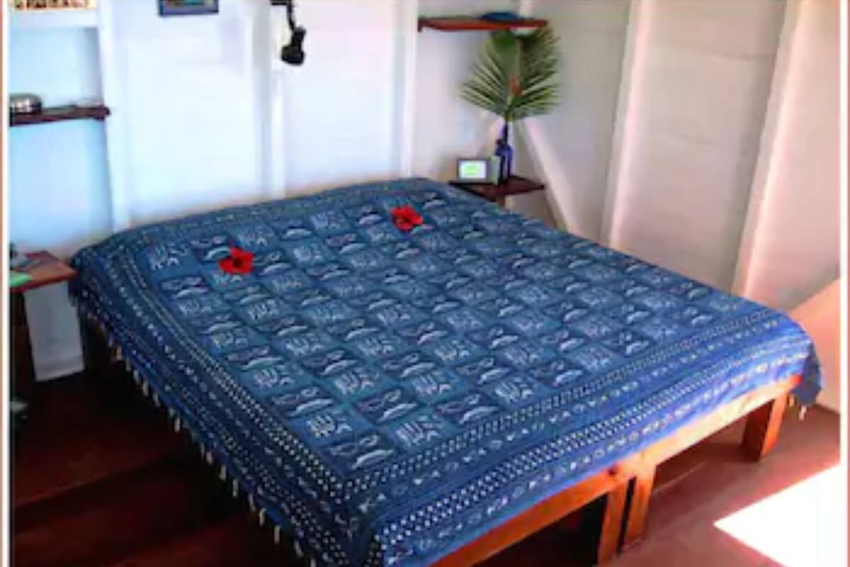 A bedroom with a bed, a nightstand, a lamp, and a potted plant.