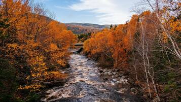 Un río serpentea por un bosque de árboles con colores otoñales.