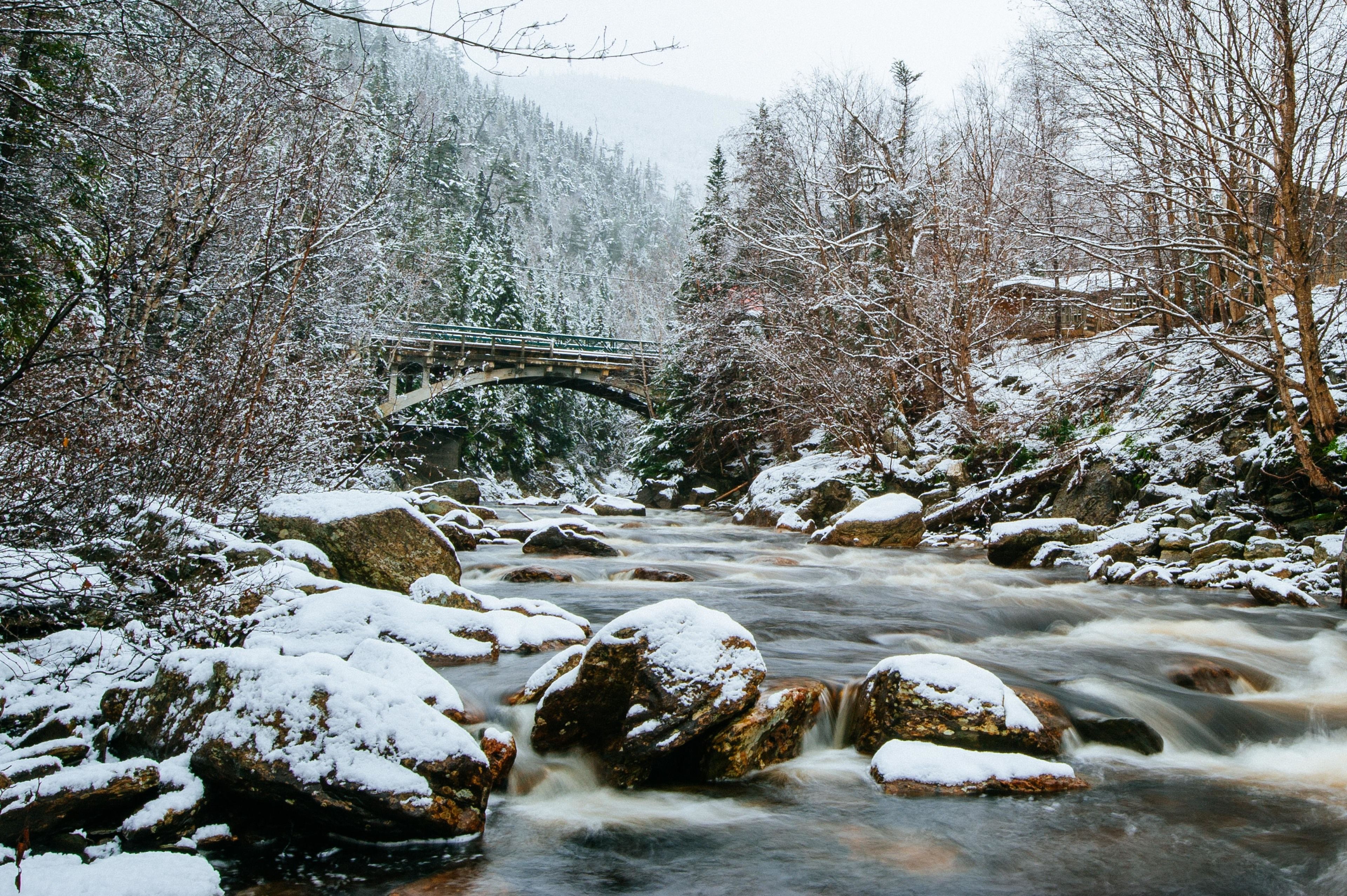 A snowy river with a bridge and surrounding trees.