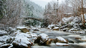 A snowy river with a bridge and surrounding trees.