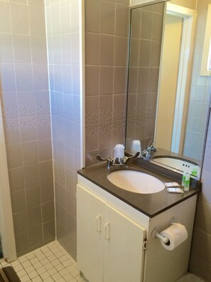 Standaard kamer, 2 queensize bedden | Badkamer | Een douche, gratis toiletartikelen, een haardroger, handdoeken