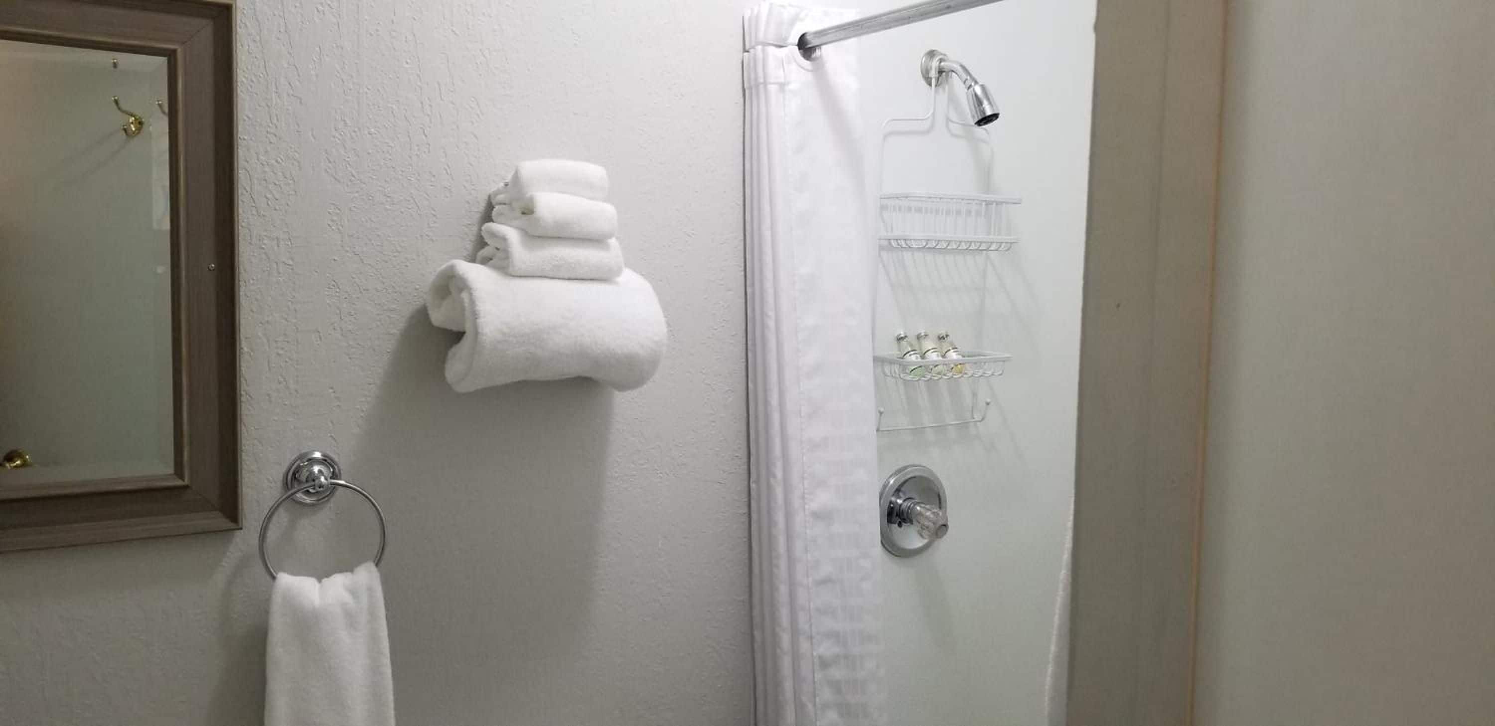 A bathroom with a shower, a towel rack, and a mirror.