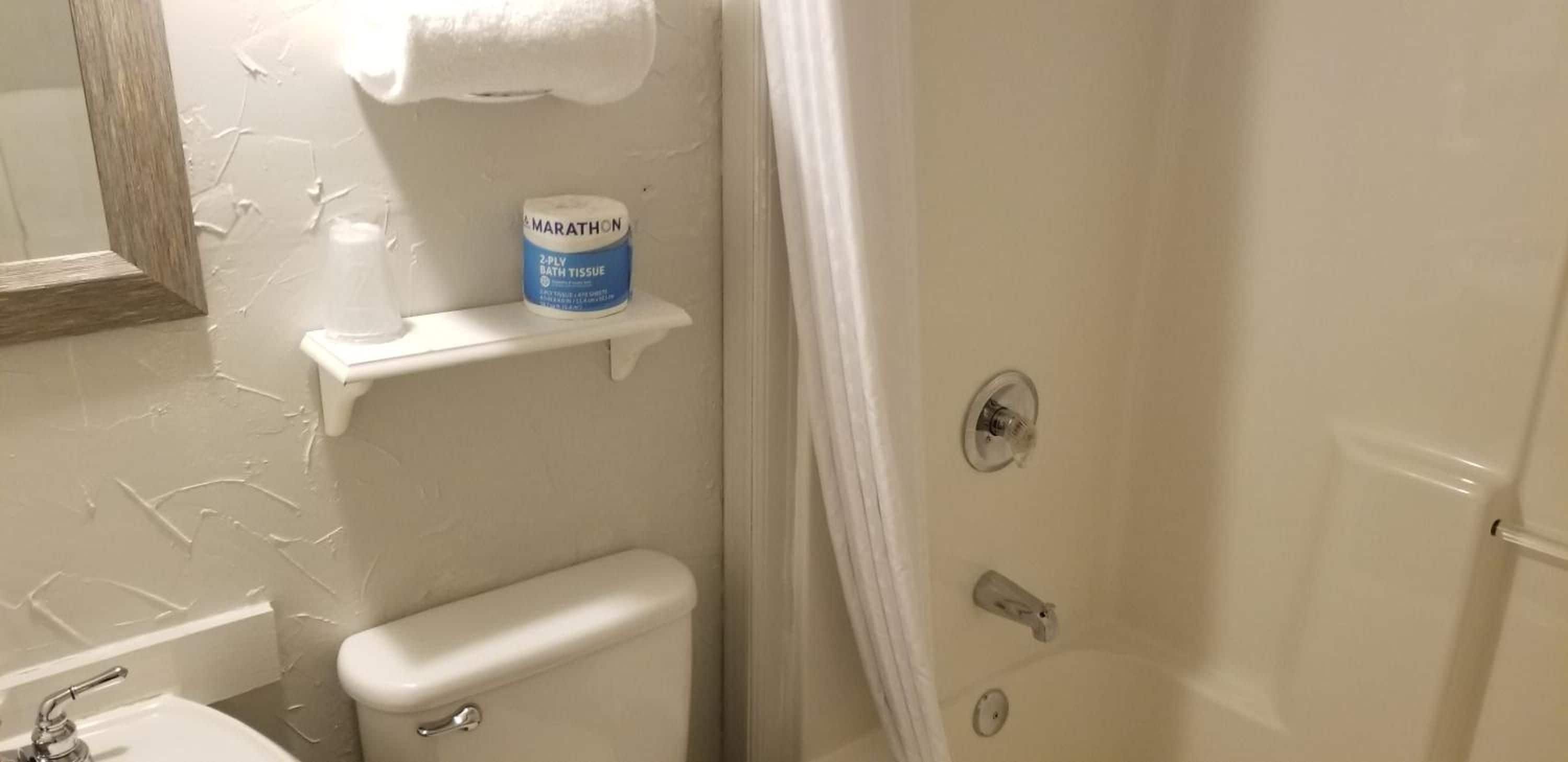 Une salle de bain comprenant des toilettes, un lavabo, une étagère avec un paquet de papier toilette et un rideau de douche.