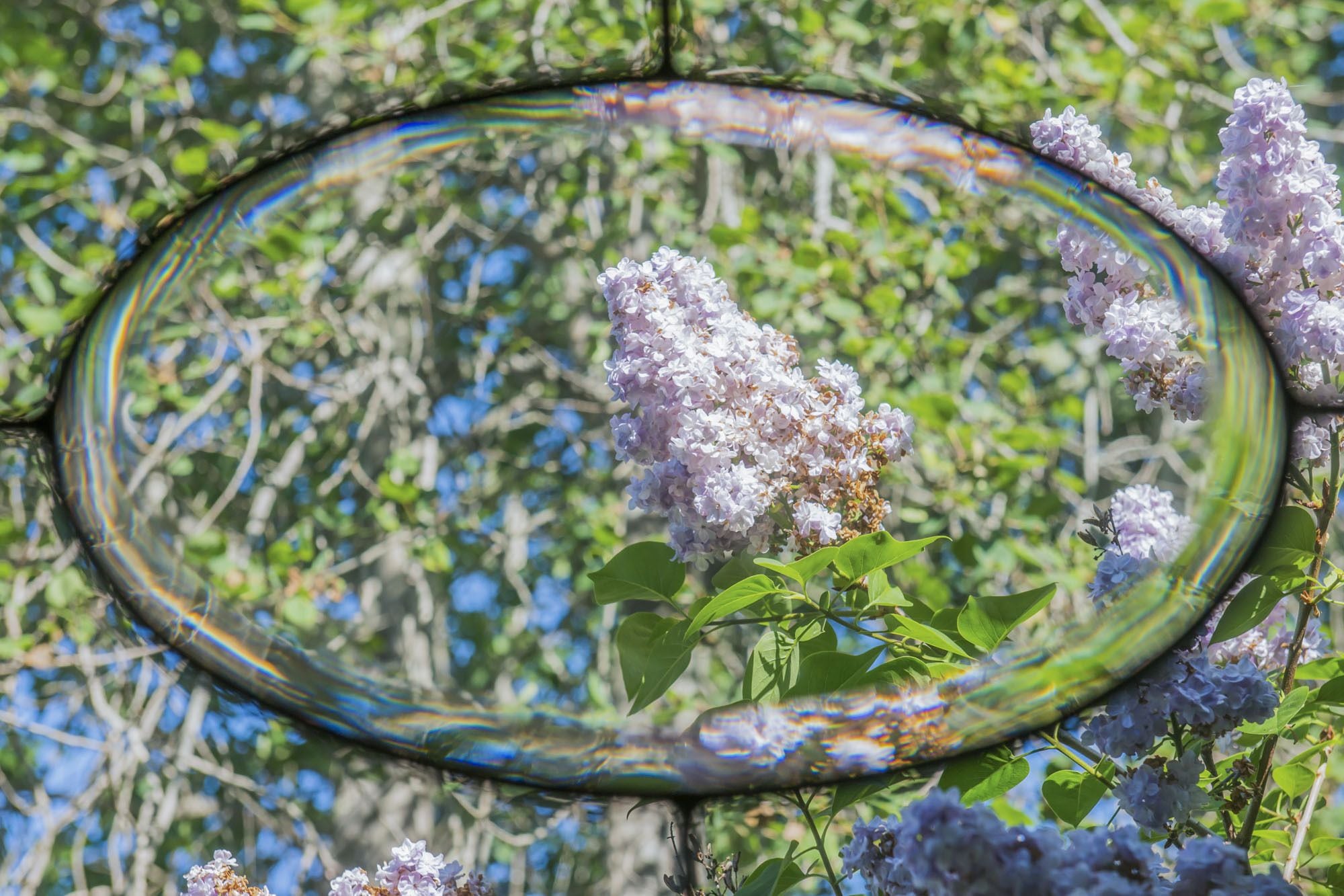 room three | view from room