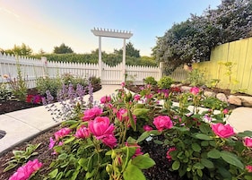 COTTAGE ONE | Garden view