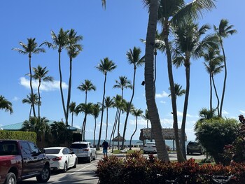 Hotel Exterior at Breezy Palms Resort