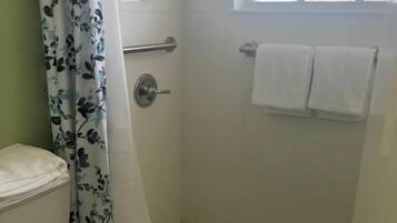 A bathroom with a toilet, shower, and a window.