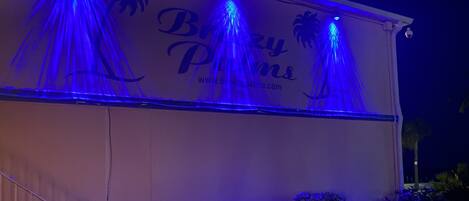 A building facade with the text "Buzzy Plims" and a website address. There are two potted plants and a staircase leading up to the entrance.