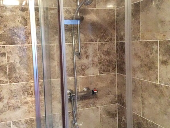 A shower enclosure with a glass door, a handheld showerhead, and a wall-mounted control valve. - The Lodge Guesthouse (Rochester)