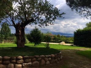 Property grounds - Agriturismo Ca' La Pergola (Verona)