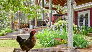 View from property - The Farmhouse Inn (Madison)