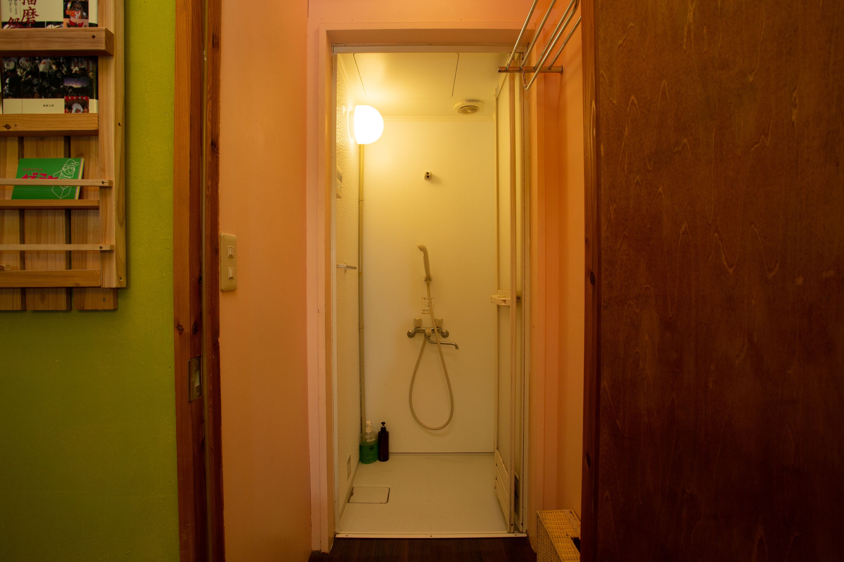 A narrow hallway leading to a shower area with a wooden door on the right and a shelf with books on the left.